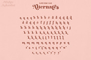 Mighty Aphrodite // A Classy Serif, a Serif Font by Megs Lang (Thumbnail 15 of 22)