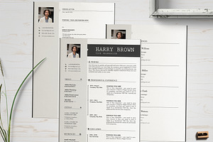 Professional Cv Design Template