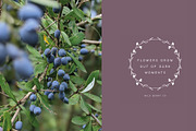 Organic Social Media Templates, a Social Media Template by CreativeWilderness (Thumbnail 7 of 8)