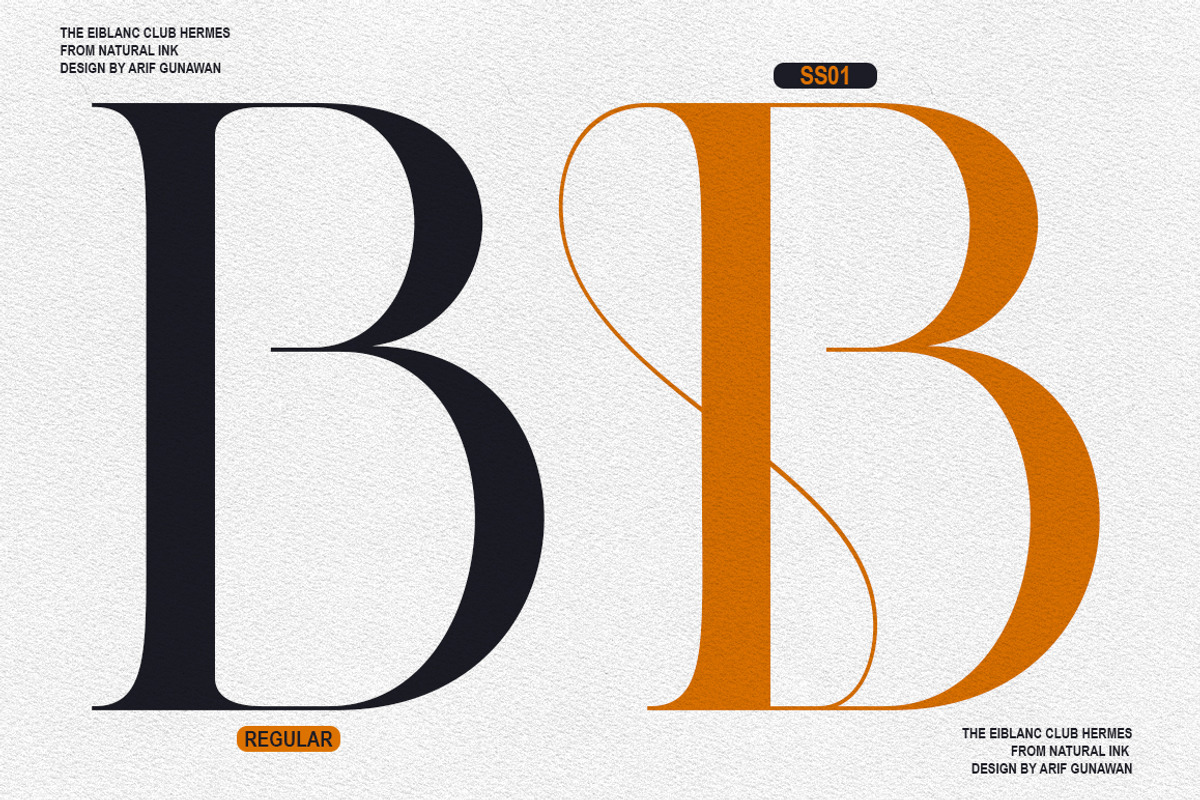 The Eiblanc Club Hermes | 12 Font, a Serif Font by Natural Ink Studio (Photo 10 of 15)