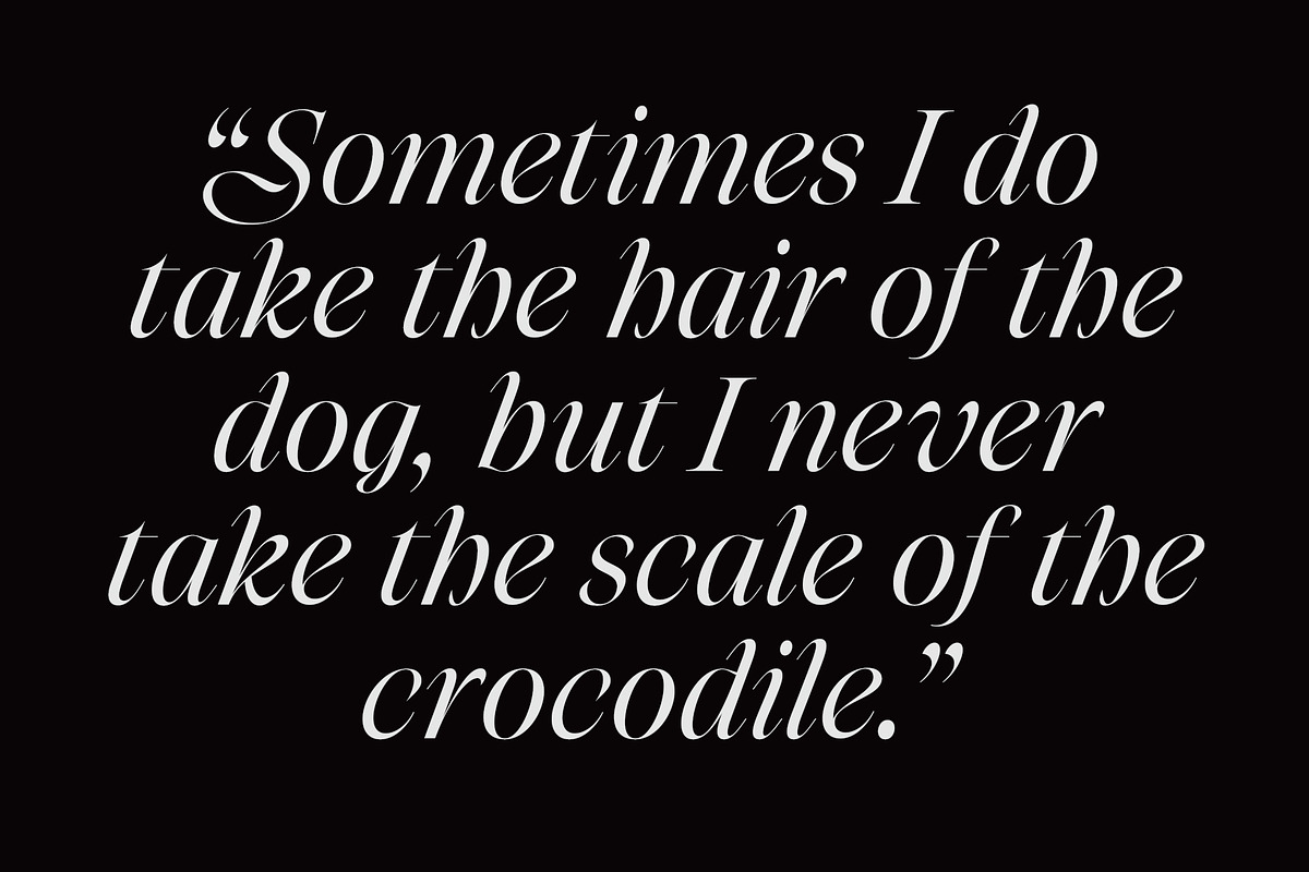Niven Italic, a Font by Simon Walker (Photo 4 of 9)