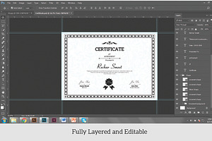 Certificate - V04