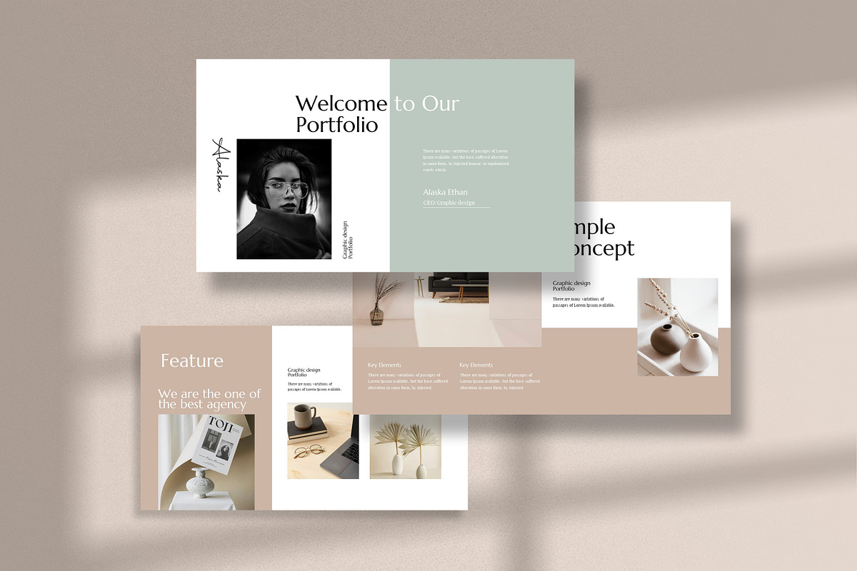Portfolio Template preview 8