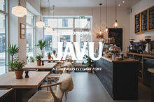 Javu - Modern Luxury Serif Typeface