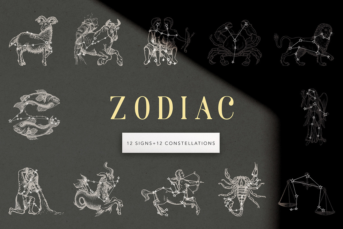 Astrology Zodiac Collection, a Decorative Illustration by Chewie Co (Photo 3 of 15)