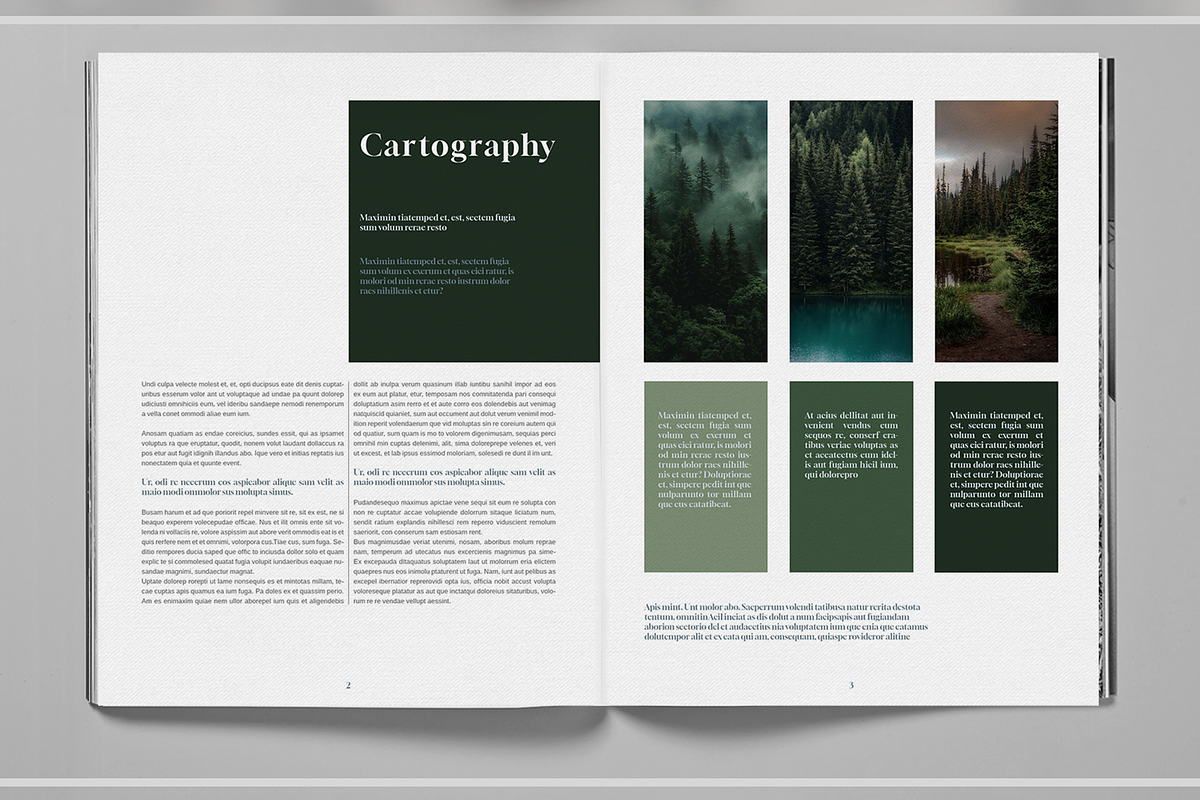 Dark Green Forest Brochure Template, a Brochure Template by Boris Cupac (Photo 3 of 7)
