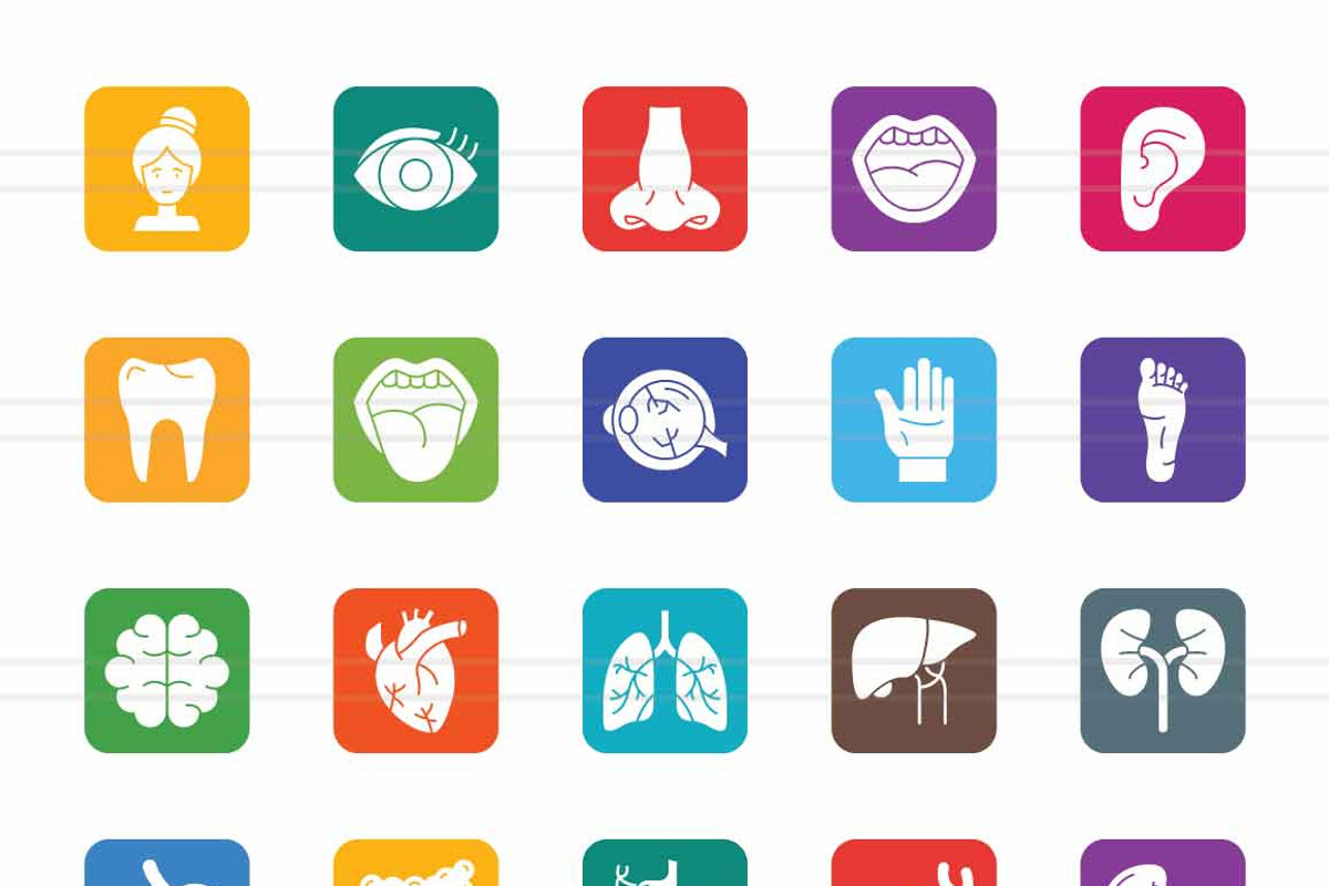 50 Human Anatomy Filled Round Corner, an Icon by IconBunny (Photo 2 of 2)