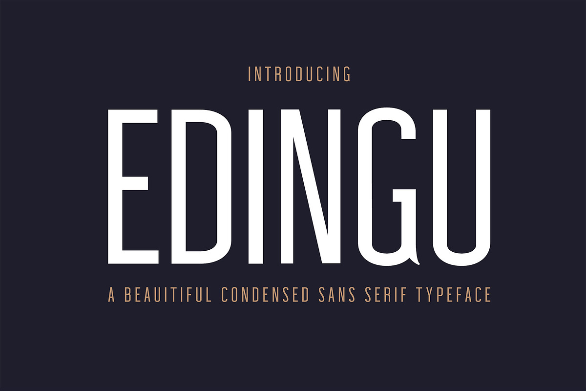 Edingu Sans Serif Font Family, a Sans Serif Font by Creativetacos (Photo 1 of 14)