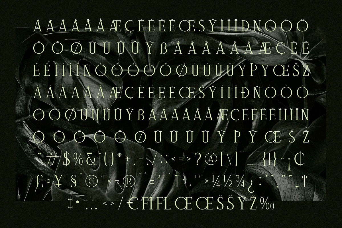 Celliqath Modern Display, a Serif Font by Storytype Studio (Photo 14 of 15)