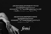 Femi Chic Font Duo, a Serif Font by gafaroff studio (Thumbnail 6 of 6)