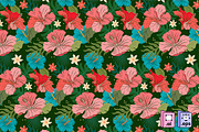 Tropical Hibiscus Floral Pattern, a Pattern Graphic by MISS CHATZ (Thumbnail 2 of 3)