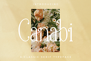 Canabi | A Classic Serif Font, a Serif Font by Avchi (Thumbnail 1 of 10)