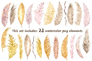 Watercolor Pampas Grass ClipArt