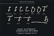 Orchestra Script - Monoline Typeface, a Script Font by ianmikraz (Thumbnail 7 of 14)