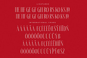Meksron Modern Serif Font, a Serif Font by Letterena Studios (Thumbnail 14 of 15)