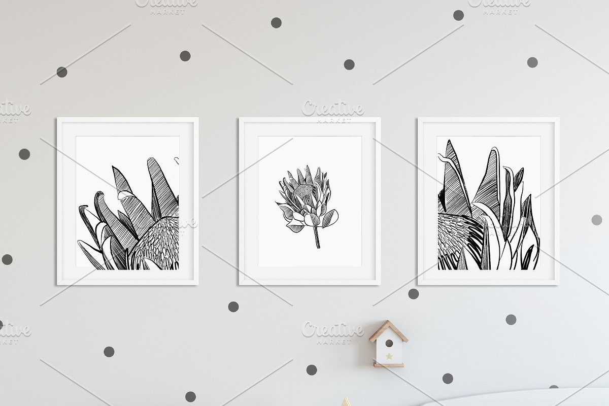 Protea Illustration Vector, an Illustration by Pretty Please Lara (Photo 5 of 6)