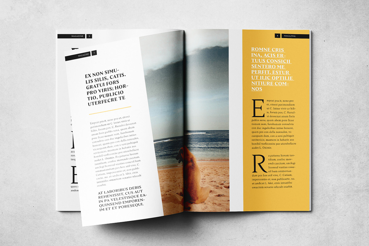 Minimal Magazine Layout