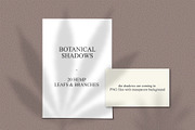 Hemp/Marijuana Shadows & MockUp, a Mockup by Jeanina Vlad (Thumbnail 2 of 17)