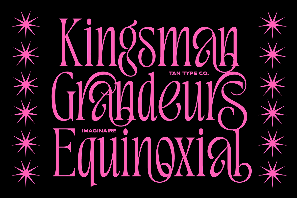 TAN - IMAGINAIRE, a Serif Font by TanType (Photo 6 of 12)