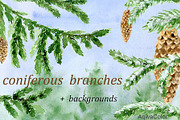 Conifer Branches Watercolor clipart, a Decorative Illustration by AqwaColor (Thumbnail 1 of 3)