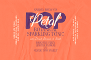 Softspoken Serif, Sans, Script Fonts, a Script Font by VP Fonts (Thumbnail 10 of 18)