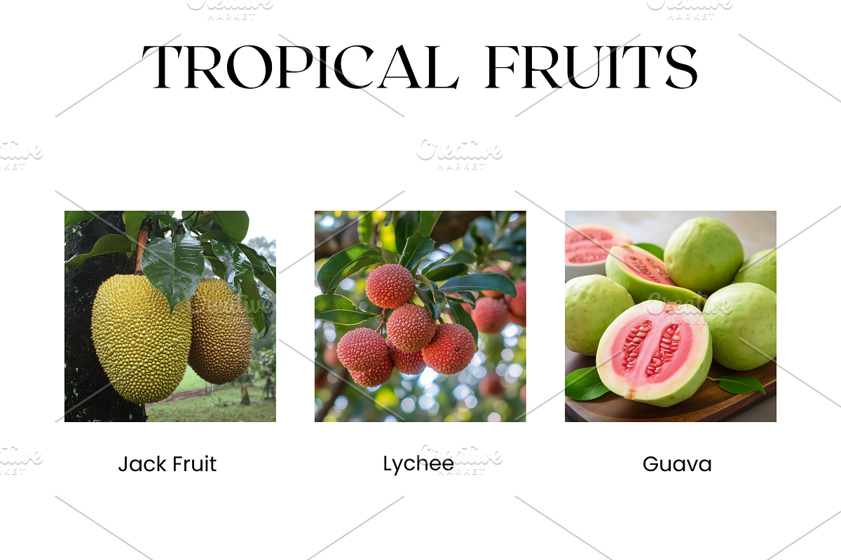 Tropical Fruits Stock Images, Mango, a Food & Drink Photo by BrushstrokeArtGB (Photo 3 of 5)