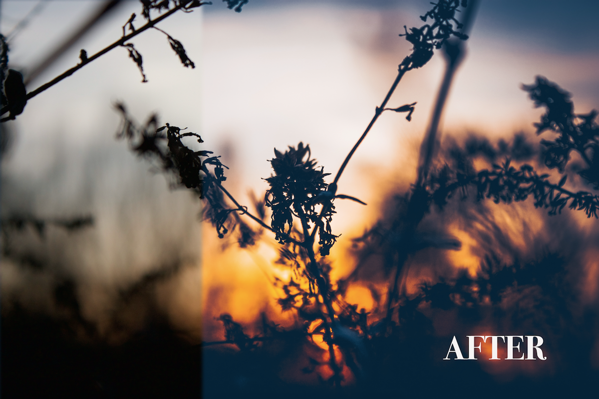 4 ColorFilm Nature Lightroom Presets, an Action Add-On by MP Photo and Presets (Photo 2 of 4)