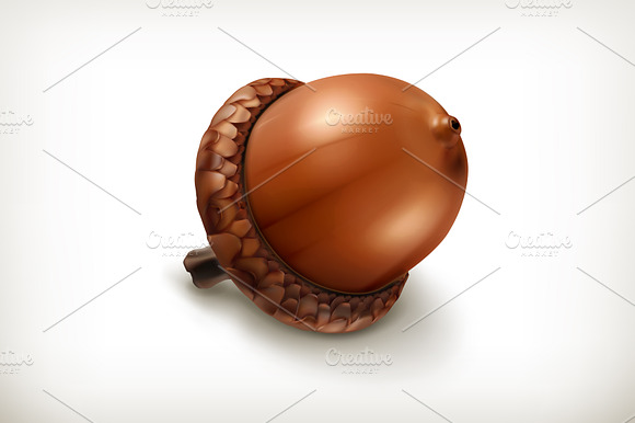 Acorn Vector Icon