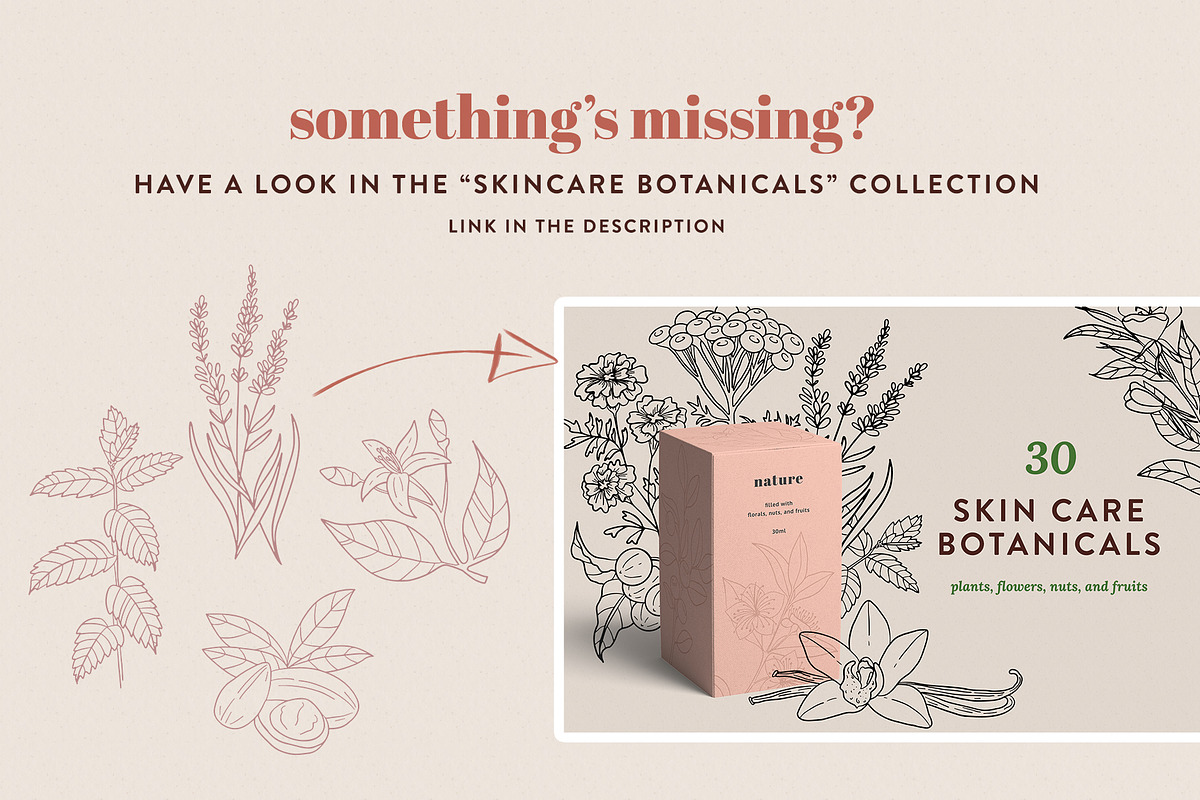 Fragrance Botanicals | 30 designs, an Illustration by amber&ink (Photo 7 of 8)