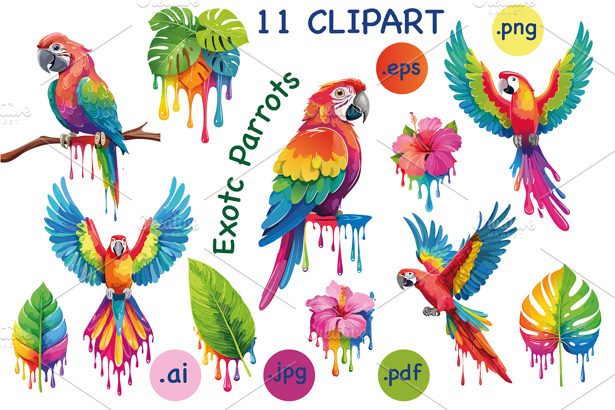 Colorful Tropical Parrots Clipart, an Object Graphic by GraphicRedStudio (Photo 1 of 9)