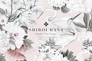 Shiroi Hana, Exquisite Floral Prints