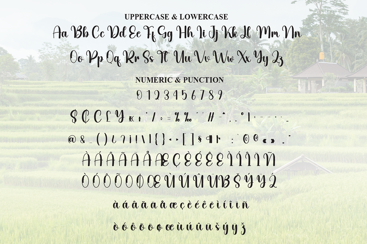Rustic | Script Font, a Handwritten Font by Scratchones (Photo 7 of 8)