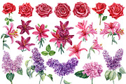Garden Flowers hand drawn watercolor, a Decorative Illustration by Hanna Hryharenka (Thumbnail 5 of 16)