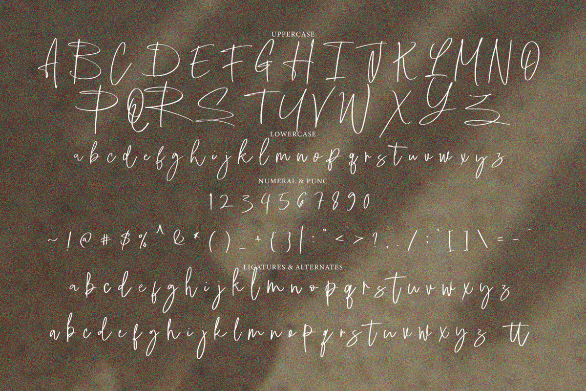 Hindya - Handwritten Signature, a Handwritten Font by tebaltipislab (Photo 9 of 9)