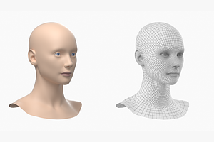 Natural Female Head 01 Generic Mesh