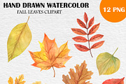 Watercolor Fall Leaves Clipart PNG, an Illustration by PatternPalette (Thumbnail 2 of 2)