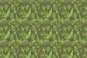 Tropicana - Palm Trees & Leaves Set