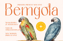 Bemgola Modern Display Serif