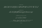 Cedar & Ink Typeface, a Serif Font by aquene (Thumbnail 6 of 16)