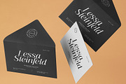 Lessa - Serif Font (10 Fonts), a Serif Font by Maculinc Type (Thumbnail 9 of 18)