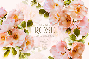 Summer Wild Rose Pink Florals