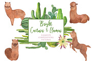Bright Cactuses & Llamas Clipart, an Illustration by ColorfulNest (Thumbnail 1 of 4)