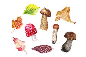 Watercolor autumn set