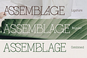 Gracessencia - Modern Elegant Luxury, a Serif Font by Qweera Studio (Thumbnail 2 of 13)