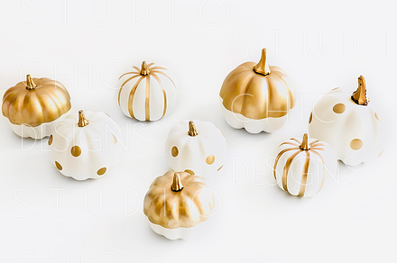 White and Gold Pumpkin Stock Image, a Holiday Photo by Studio Chic Designs