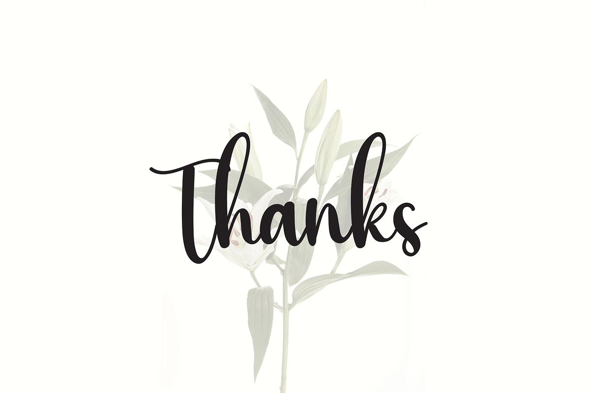 the flowers | Script Font, a Script Font by Scratchones (Photo 2 of 8)
