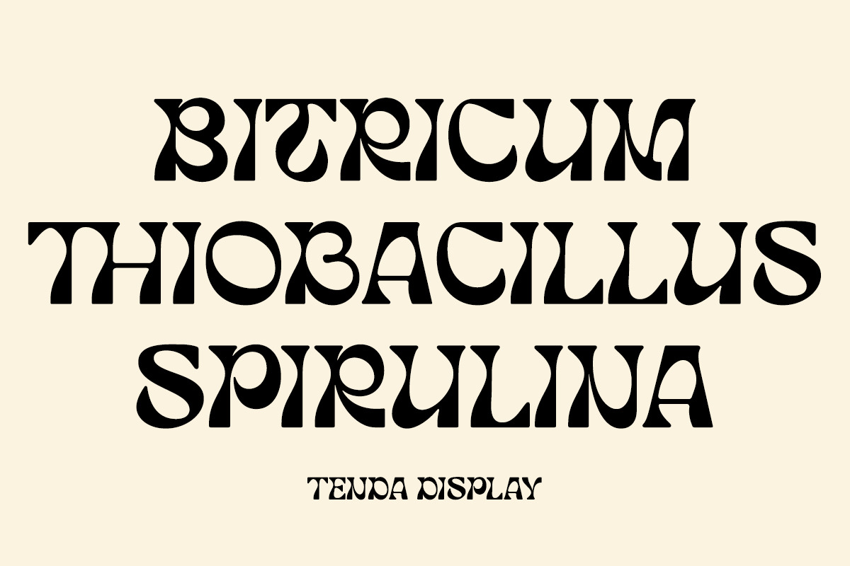 Tenda Display, a Font by Attract Studio (Photo 5 of 17)