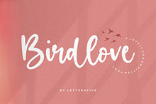 Birdlove - Handwritten Font