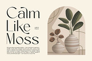 Amira Monte Elegant Display Font, a Sans Serif Font by timelesstype.co (Thumbnail 6 of 20)