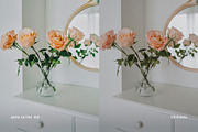 Agfa Ultra 100, a Preset Add-On by colorituals (Thumbnail 5 of 8)